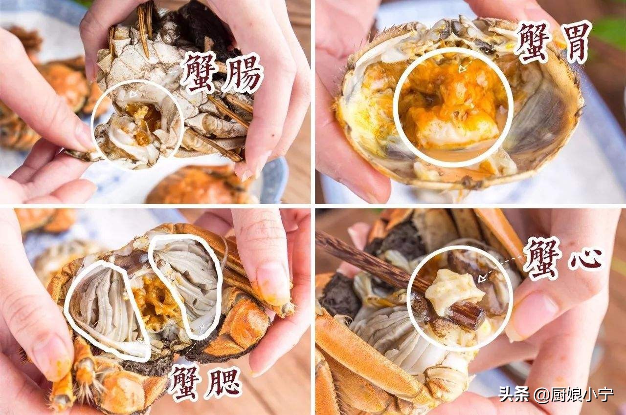 螃蟹冷冻保存可以内脏吃嘛_螃蟹冷冻保存可以内脏吃吗_
