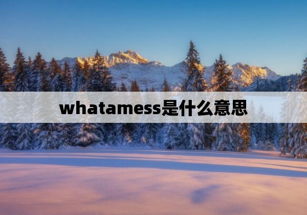 whatamess是什么意思