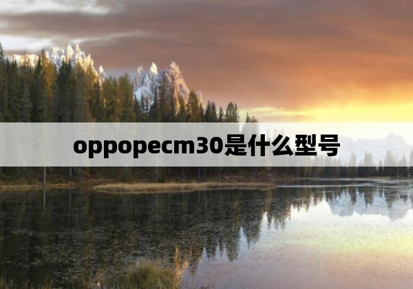oppopecm30是什么型号